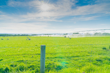 Irrigation system system running on a farm in Central Otago