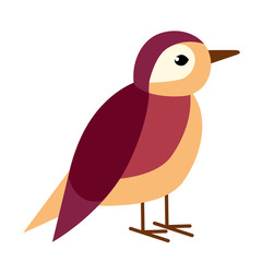 bird flat illustration
