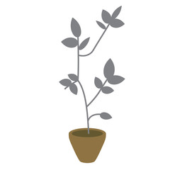 home pot plant flat illustration