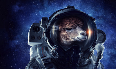 First trip to space. Mixed media