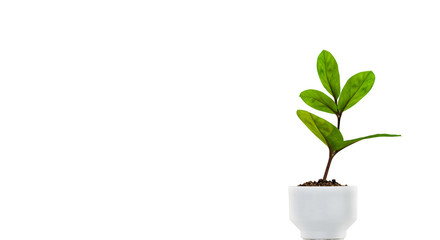 Light Bulb with sprout. Mixed media