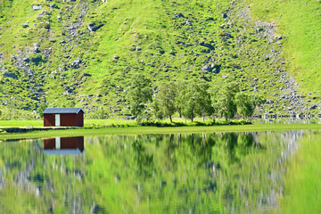 Fototapete bei efototapeten.de bestellen   