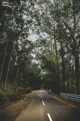 Fototapeta premium The destiny