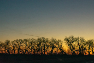 Fototapeta premium sunset in the forest