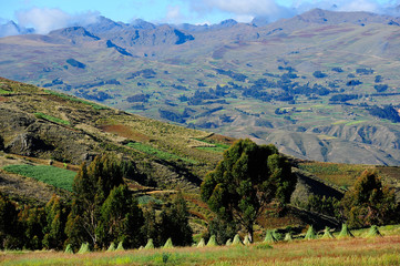 The hills of Cochabamba province, Bolivia