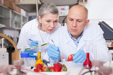 Scientists taking notes while checking agricultural products