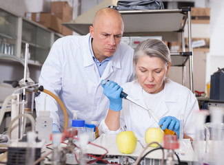 Scientists analyzing agricultural products