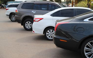 Closeup of back or rear side of black car and other cars parking in parking area in sunny day. 