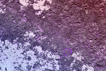 vintage retro fungus on boulder texture - cute abstract photo background