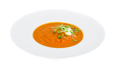 Vegetarian pumpkin soup puree with cress salad greens.