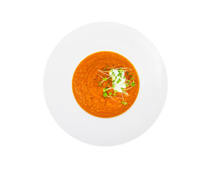 Vegetarian pumpkin soup puree with cress salad greens.