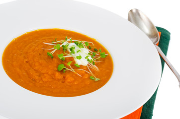 Vegetarian pumpkin soup puree with cress salad greens.