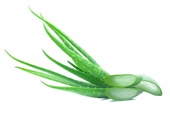 Aloe vera plant and sliced isolated on white background