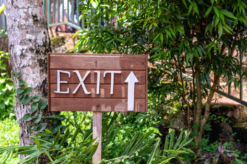 Text exit on a wooden board in a rainforest jungle of tropical Bali island, Indonesia. Exit wooden sign inscription in the asian tropics.