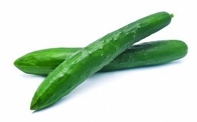 Japanese cucumber isolated on white background