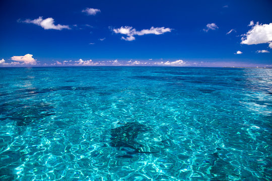 透明度の高いサンゴ礁の海