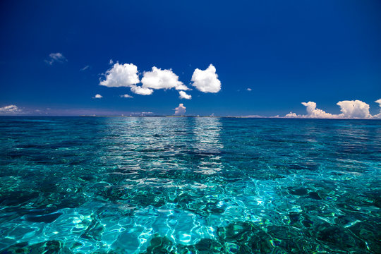 透明度の高いサンゴ礁の海
