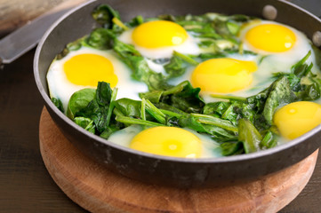 Shakshuka in the pan. Omelet with tomatoes, pepper, vegetables and herbs.