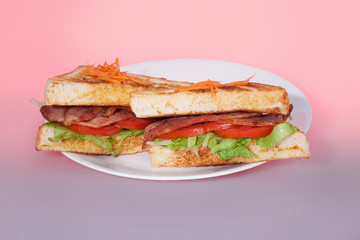 Toasted breads with meats and tomatoes