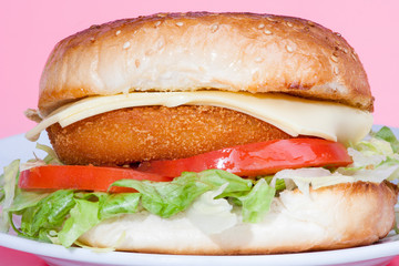 Chicken bun with salad and tomatoes