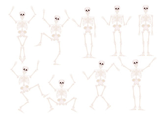Funny cartoon skeletons character danceand and gymnastics
