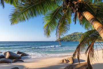 Fototapeta na wymiar Exotic tropical beach with palms and blue sea at sunset on Seychelles Paradise island.