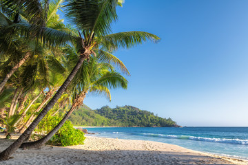 Exotic tropical beach on Paradise island. Summer vacation and travel concept.