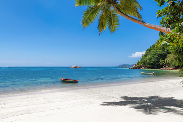 Fototapeta na wymiar Exotic sandy beach with Coco palms and the turquoise sea on Seychelles Paradise island.