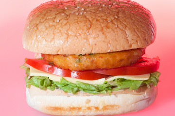 Salad bun with vegetables mixed cheese