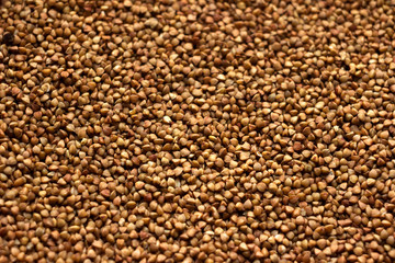 Fried not boiled buckwheat, background