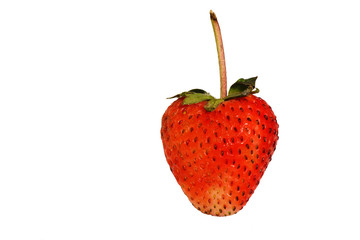 Red berry strawberry isolated on white background, Bright colored fruit with a sweet aroma and sour taste