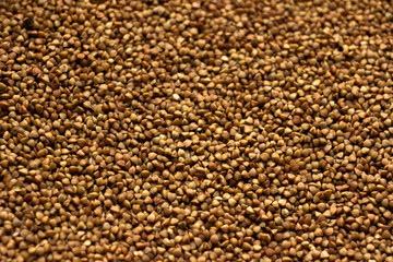 Fried not boiled buckwheat, background