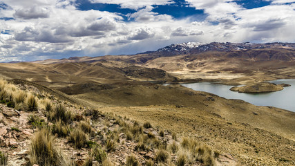The gently sloping shores of lake Lagunillas