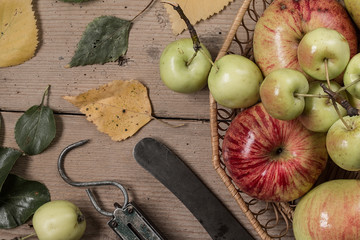 Red and green apples on rustic wooden background.