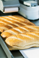 freshly baked loaves of bread with a delicious crust in the bakery