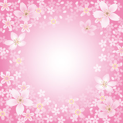 Obraz na płótnie Canvas Sakura frame background