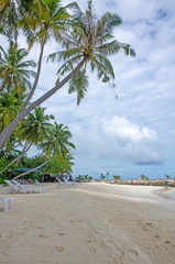Fototapeta premium ocean coast on Maldives with white sand and clear water