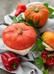 Autumn arrangement of pumpkins