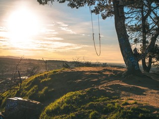 Panorama of Los Angeles from the hill, on a tree hanging homemade swing on a rope overlooking the city