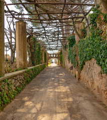 Avenue Cimbrone Garden, Ravello, Italy
