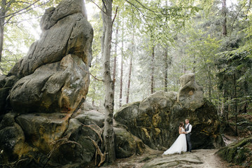 Beautiful wedding couple, bride and groom, in love on the background of mountains