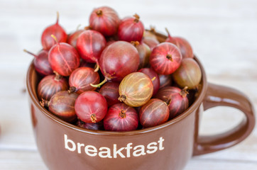 Ripe gooseberry in a large mug. 