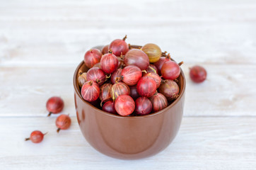 Ripe gooseberry in a large mug. 