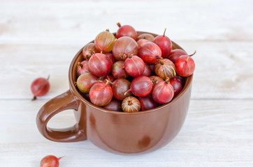 Ripe gooseberry in a large mug. 