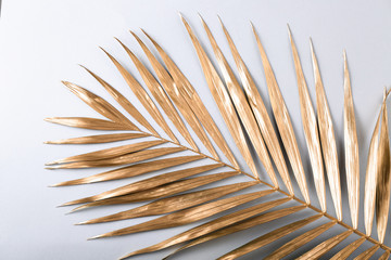 Golden palm leaf on light background
