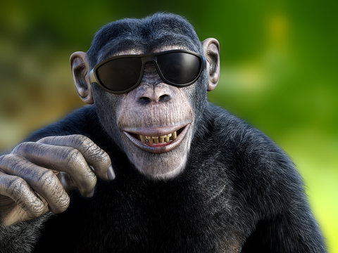 This is My Weekend Face Happy Monkey Smile -MAGNET