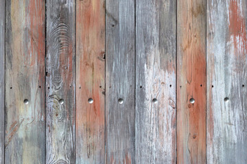 Wooden wall texture, old painted multicoloured wood flooring. Weathered gnarled boards with nails for background, colorful planks
