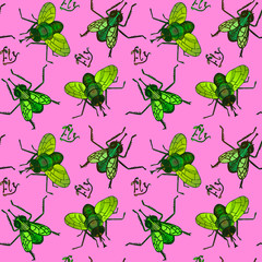 Cartoon character of green flies with inscription, top view, hand drawn doodle sketch, illustration, seamless pattern design on pink background