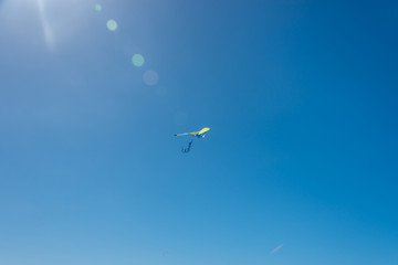 Kite Flying in a Clear Blue Sunny Sky