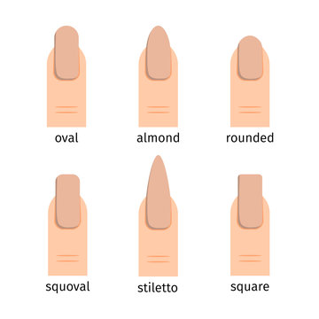 Most popular nail shapes with nude manicure vector illustration. Manicure finger shape different, fingernail glamour